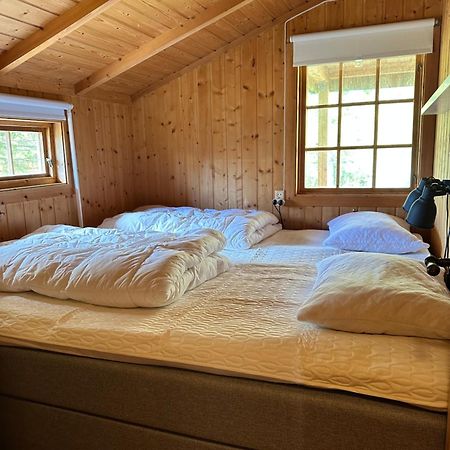 Fjellro Mountain Cabin 奥普达尔 外观 照片