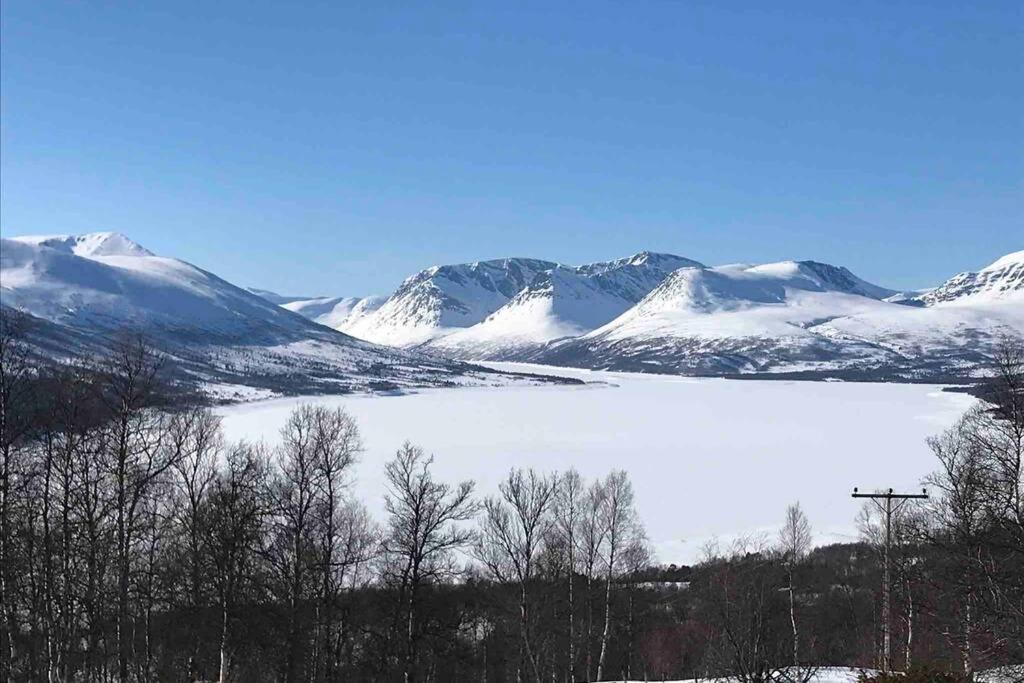 Fjellro Mountain Cabin 奥普达尔 外观 照片