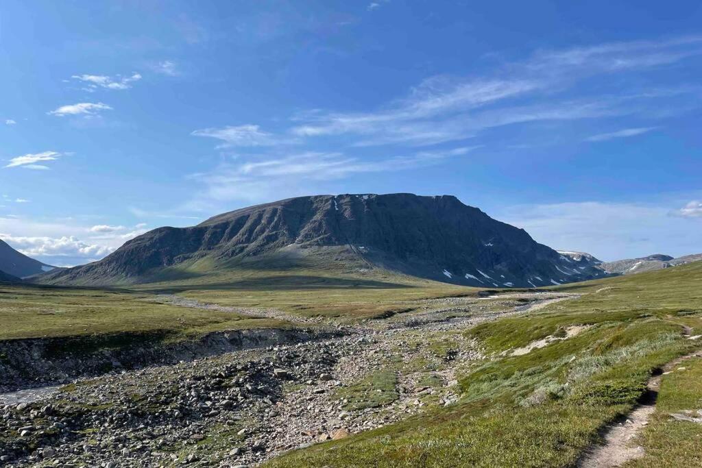Fjellro Mountain Cabin 奥普达尔 外观 照片
