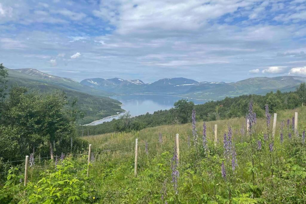 Fjellro Mountain Cabin 奥普达尔 外观 照片