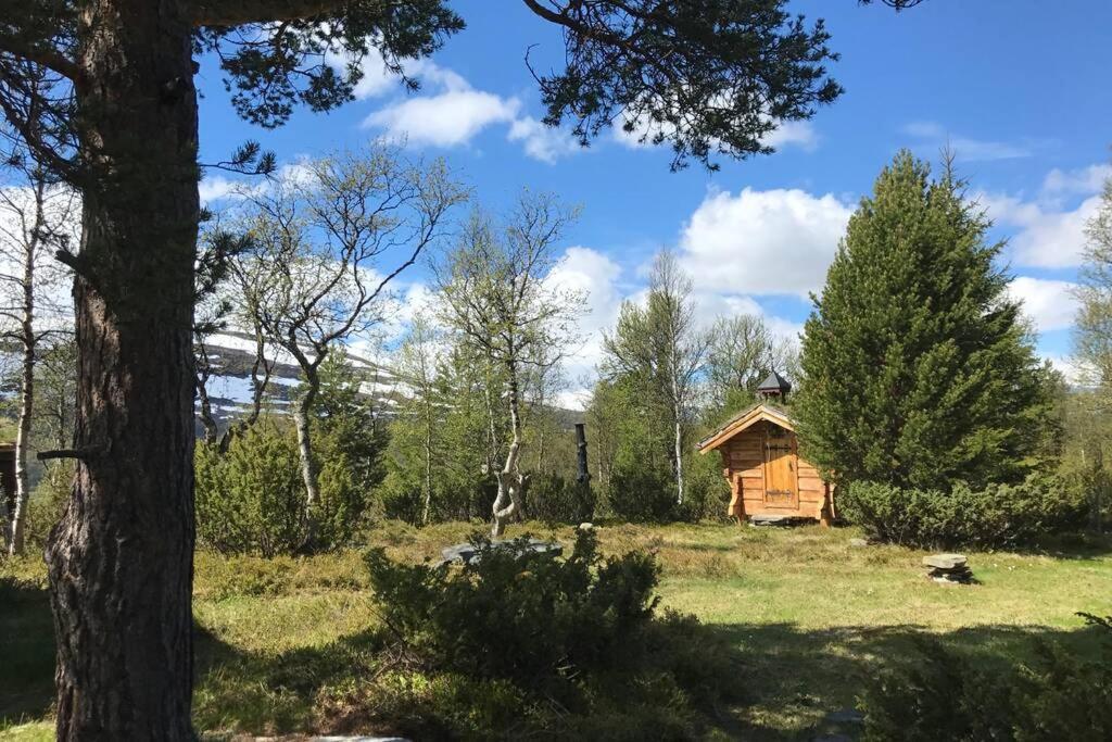 Fjellro Mountain Cabin 奥普达尔 外观 照片