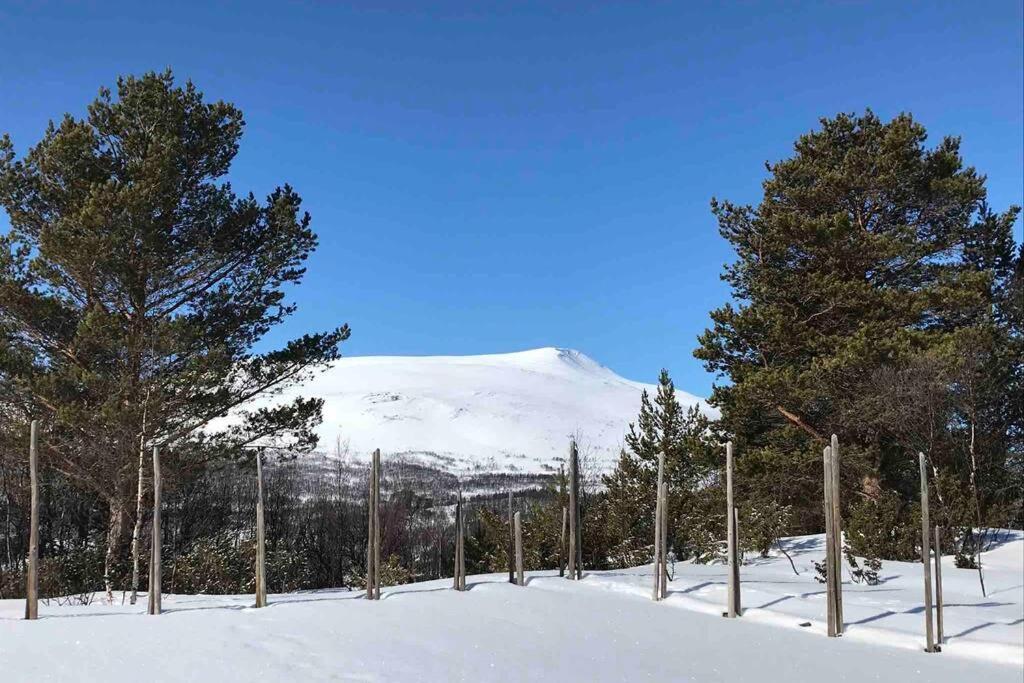 Fjellro Mountain Cabin 奥普达尔 外观 照片