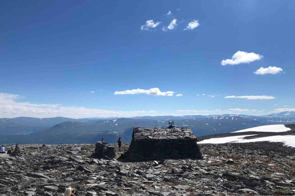 Fjellro Mountain Cabin 奥普达尔 外观 照片