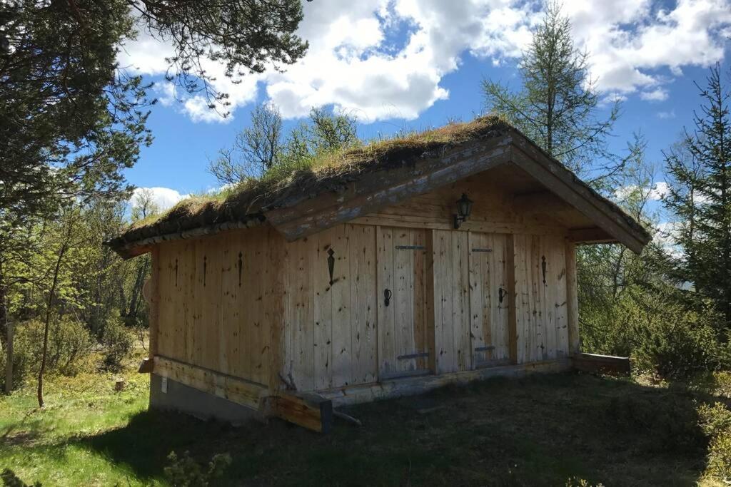 Fjellro Mountain Cabin 奥普达尔 外观 照片