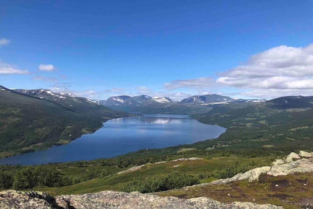 Fjellro Mountain Cabin 奥普达尔 外观 照片