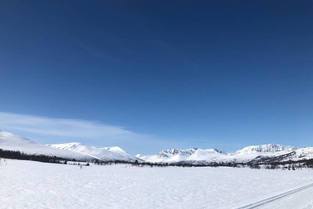 Fjellro Mountain Cabin 奥普达尔 外观 照片