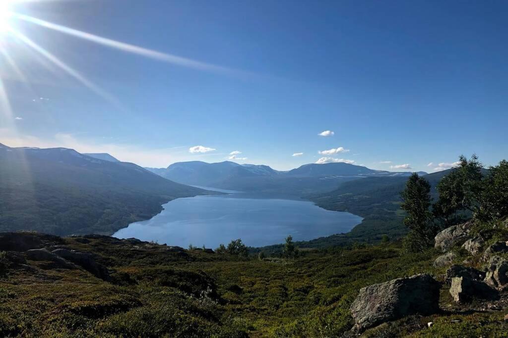Fjellro Mountain Cabin 奥普达尔 外观 照片
