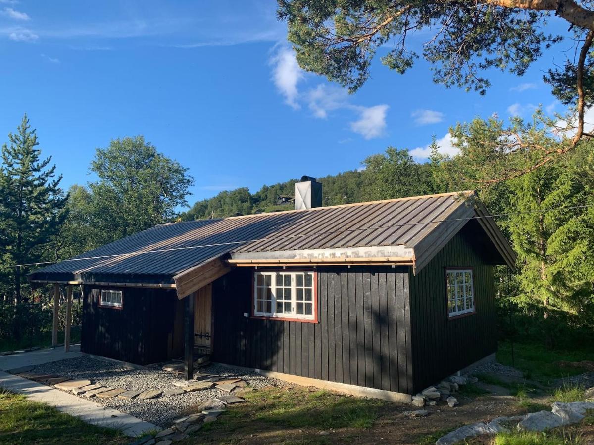 Fjellro Mountain Cabin 奥普达尔 外观 照片