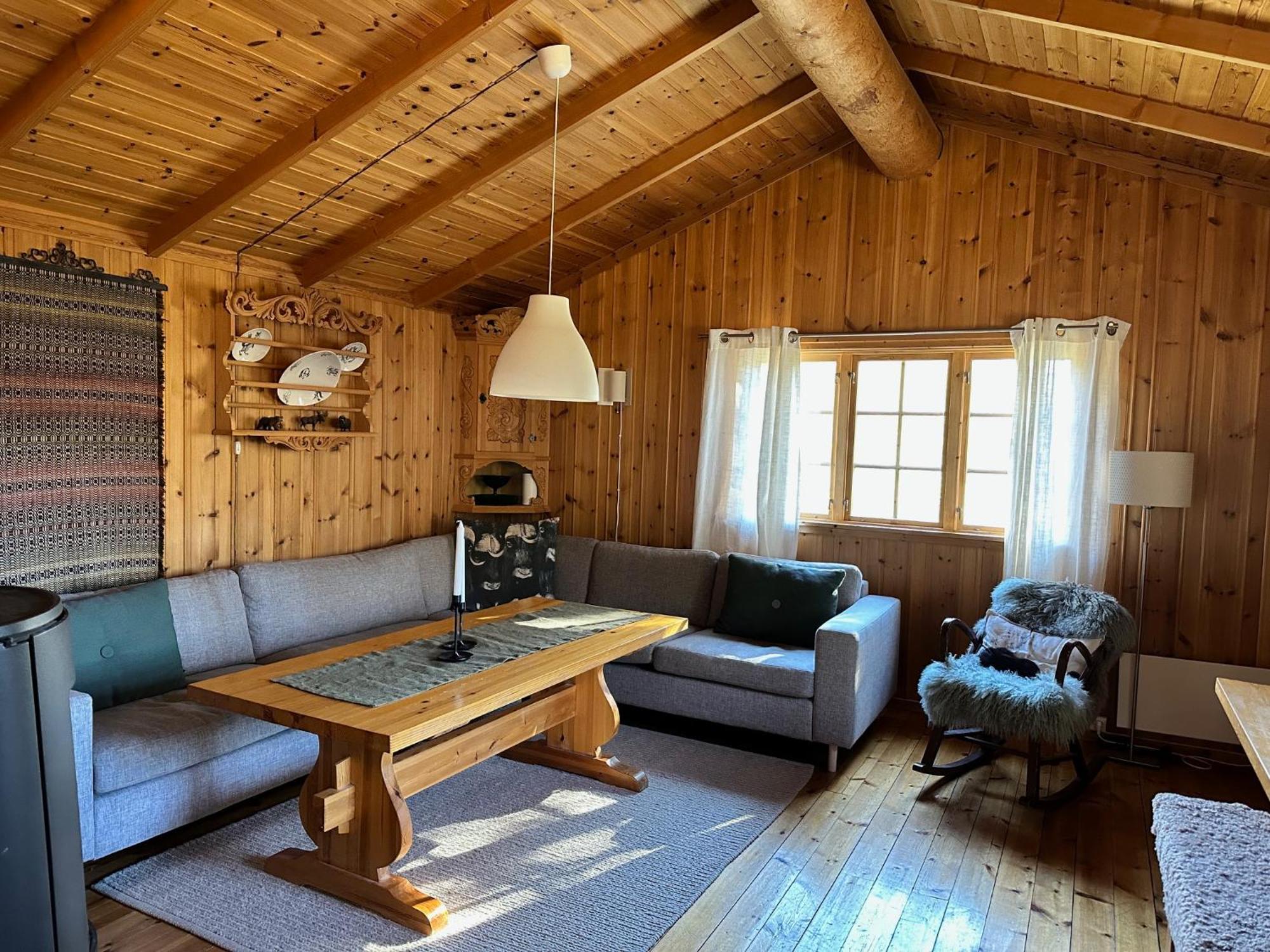 Fjellro Mountain Cabin 奥普达尔 外观 照片