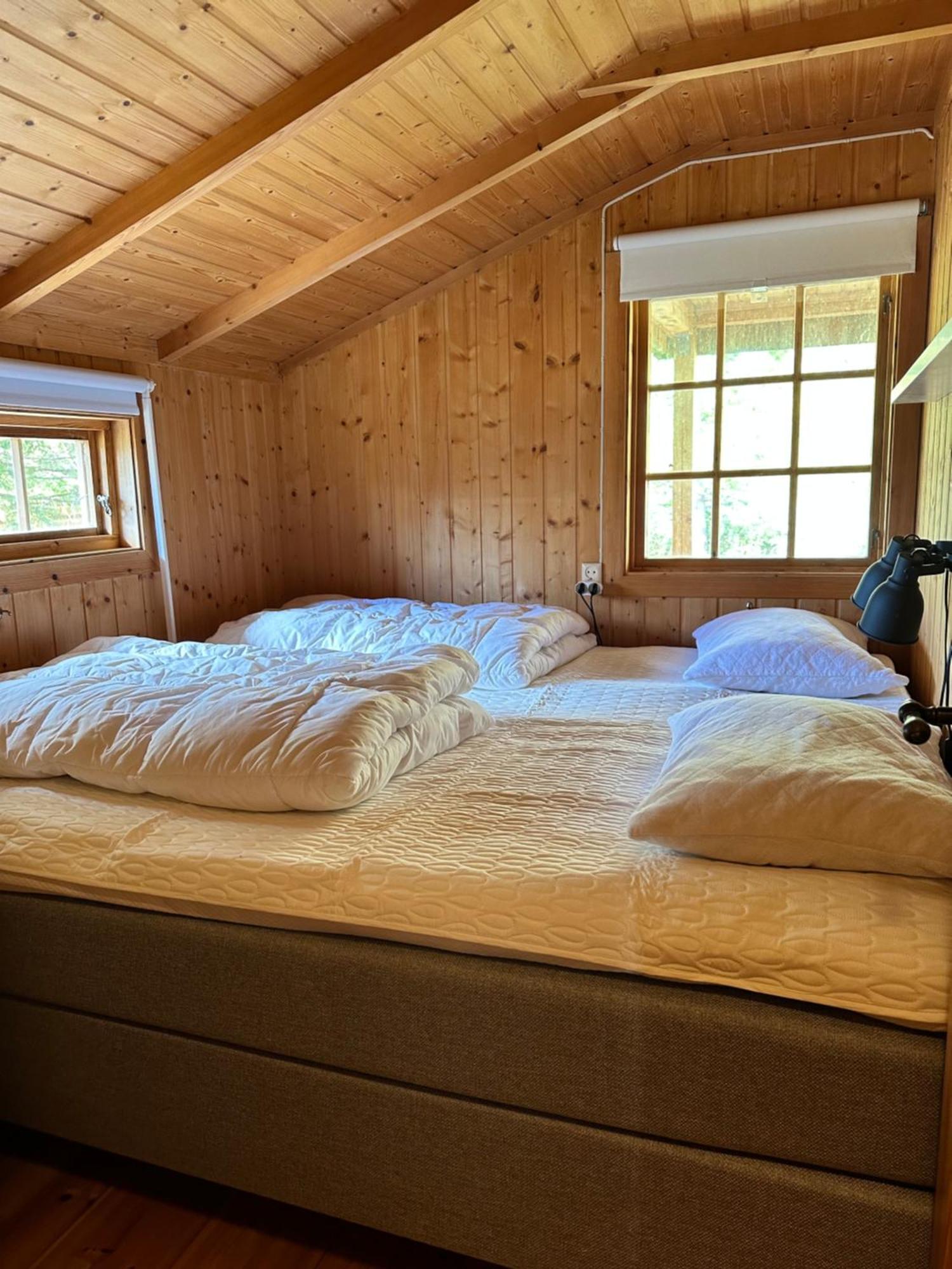 Fjellro Mountain Cabin 奥普达尔 外观 照片